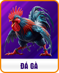 Đá Gà Bwing